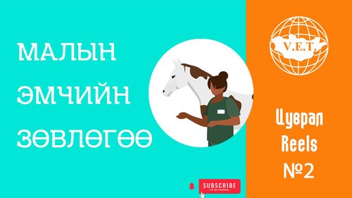 Адууны тэжээллэгийн талаар зөвлөгөө